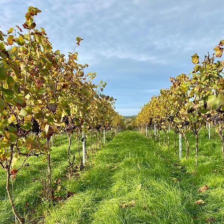 Potts Farm Villa Tenterden Bagian luar foto