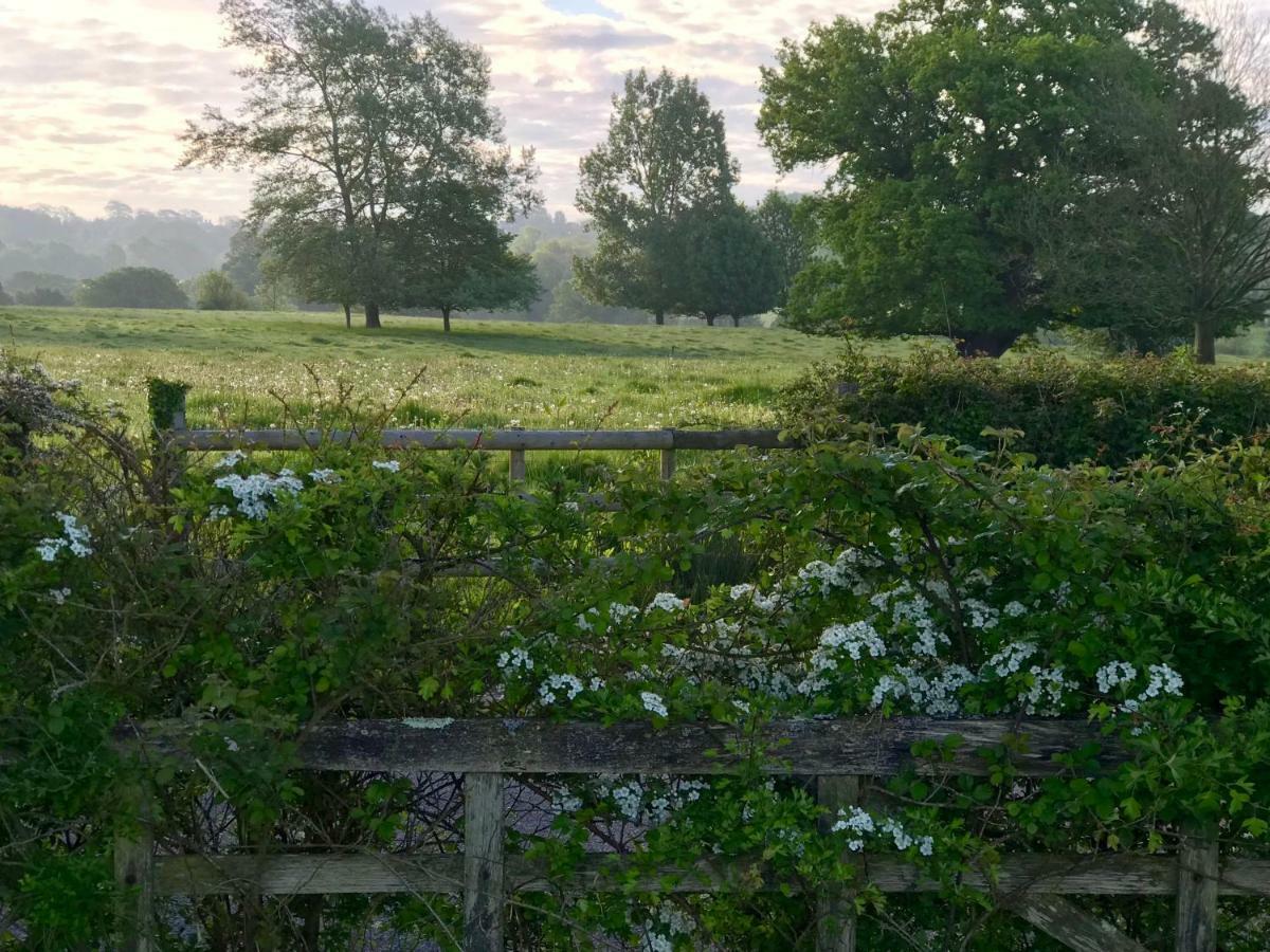 Potts Farm Villa Tenterden Bagian luar foto